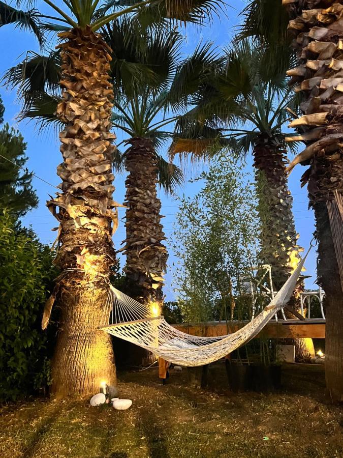 My Ancient Pydna Paradise ! Holiday home *